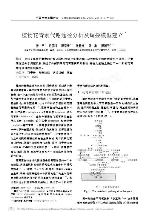 植物花青素代谢途径分析及调控模型建立