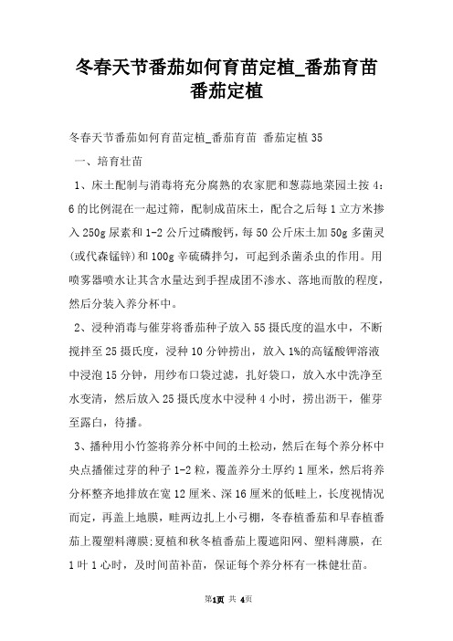 冬春天节番茄如何育苗定植_番茄育苗 番茄定植