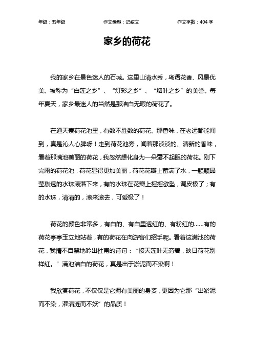 家乡的荷花作文【小学五年级400字】