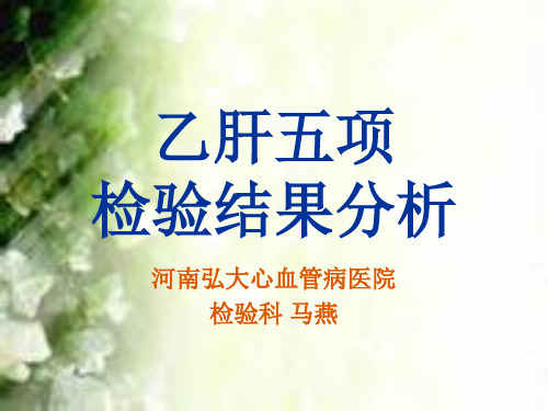 乙肝五项结果分析