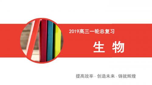 2019届一轮复习人教版 第七单元第三讲    生物的进化 课件