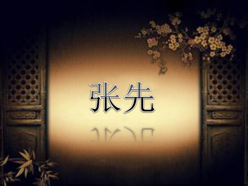 中国文学史       张先