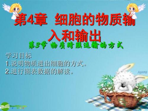 【高中生物】物质跨膜运输的方式ppt30
