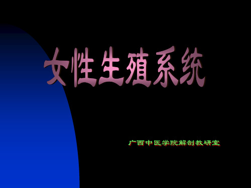 12女生殖