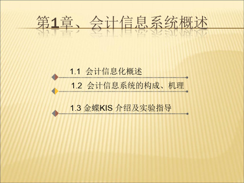 【课件】闫会计信息系统概述PPT