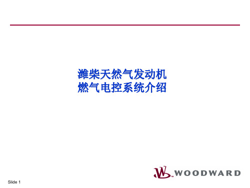 燃气电控系统