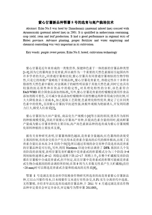 紫心甘薯新品种鄂薯8号的选育与高产栽培技术