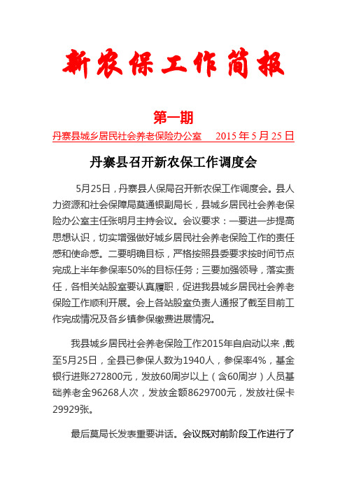 新农保工作简报(一)