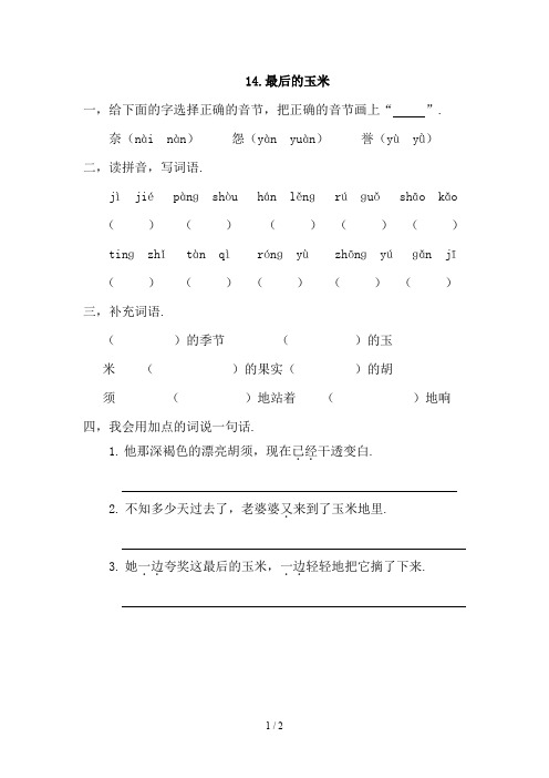 精品新教材鄂教版二年级语文下册课时练最后的玉米