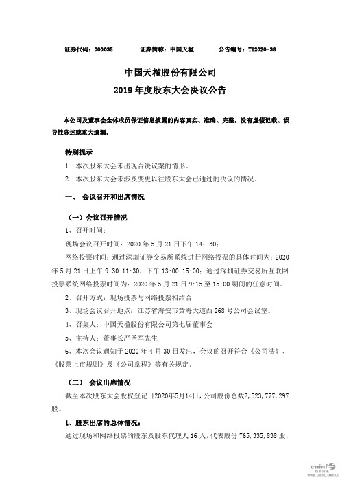 中国天楹：2019年度股东大会决议公告