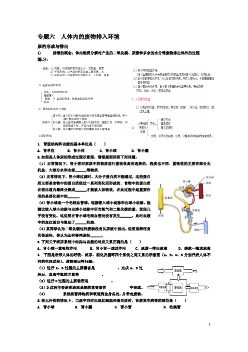 专题六  人体内的废物排入环境