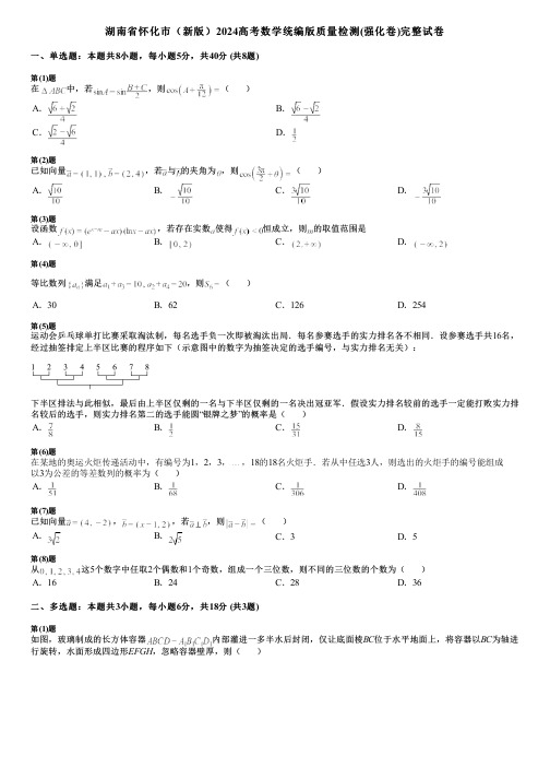 湖南省怀化市(新版)2024高考数学统编版质量检测(强化卷)完整试卷