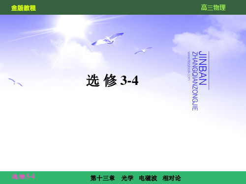 第十三章    光学   电磁波  相对论13-2(新课标复习资料)