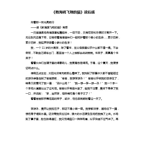《教海鸥飞翔的猫》读后感
