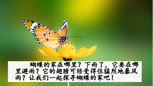 人教部编版四年级语文上册《蝴蝶的家》ppt课件