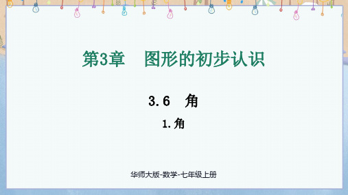 2024年新华师大版数学7年级上册 3.6.1 角 教学课件