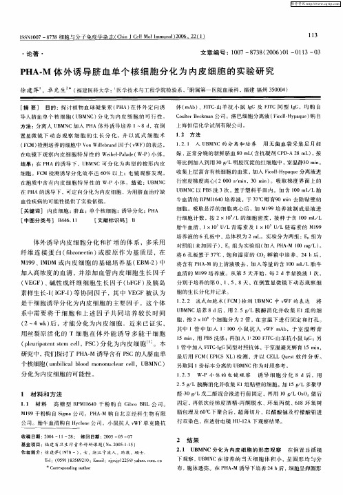 PHA—M体外诱导脐血单个核细胞分化为内皮细胞的实验研究