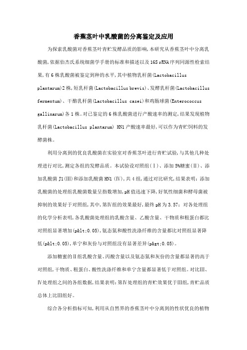 香蕉茎叶中乳酸菌的分离鉴定及应用
