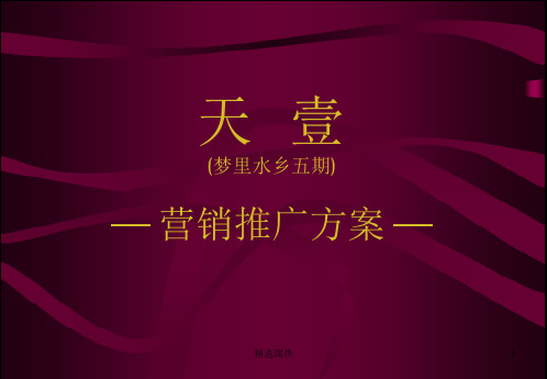 天丰行广告媒介代理公司关于天壹项目推广方案