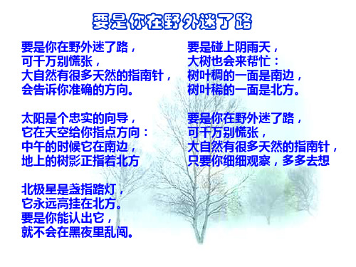 大自然的语言优秀ppt课件