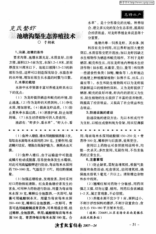克氏螯虾 池塘沟渠生态养殖技术