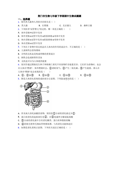 荆门市生物七年级下学期期中生物试题题