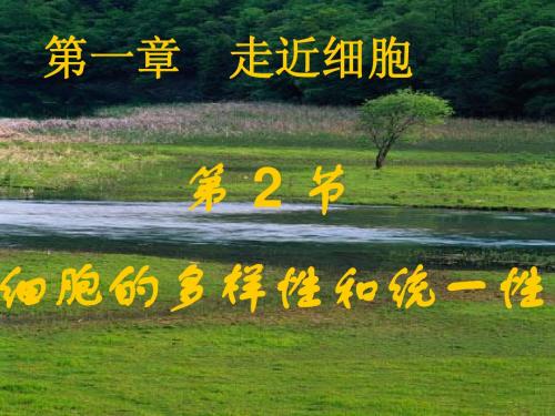 人教版教学课件1.1.2细胞的多样性和统一性