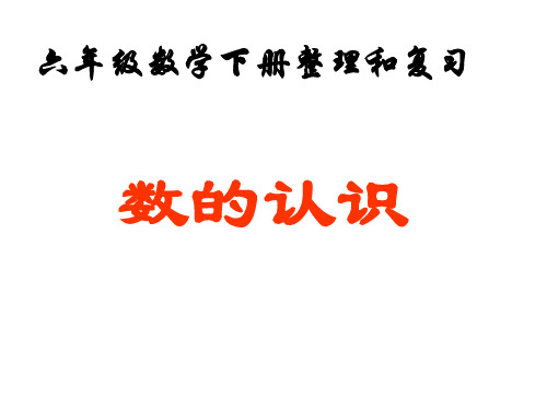 人教版数学六年级下册总复习《数的认识》1资料