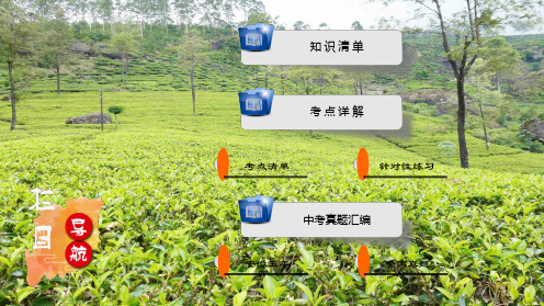 中考英语一轮复习 第1部分 考点探究 八下 第10课时 units 810课件