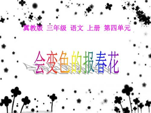小学语文 会变色的报春花 ppt 冀教版三上课件