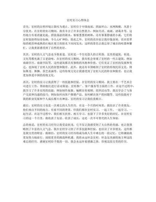 宏村实习心得体会
