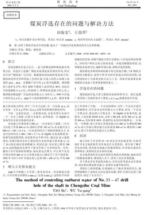 煤炭浮选存在的问题与解决方法[1]