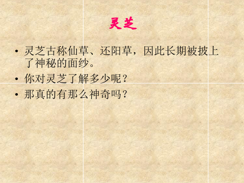 灵芝