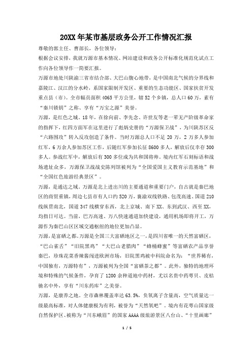 2019年某市基层政务公开工作情况汇报