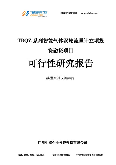 TBQZ系列智能气体涡轮流量计融资投资立项项目可行性研究报告(中撰咨询)