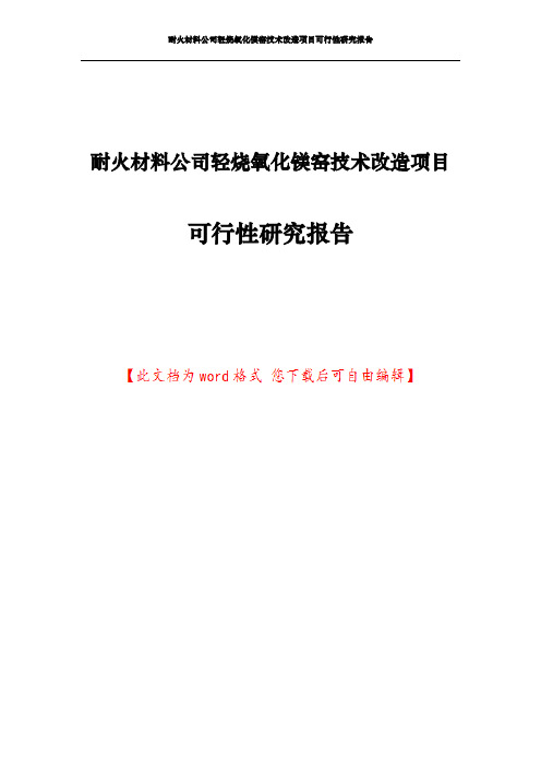 耐火材料公司轻烧氧化镁窑技术改造项目可行性研究报告