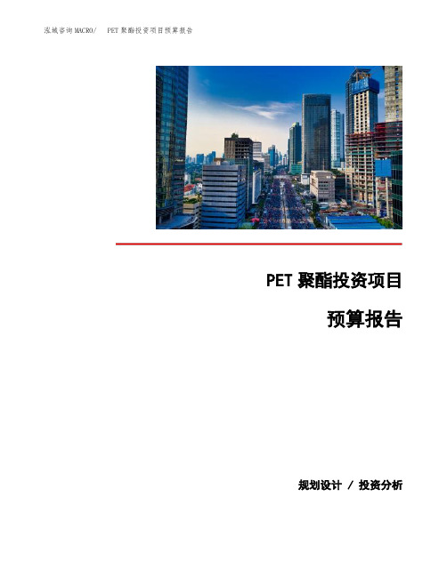 PET聚酯投资项目预算报告