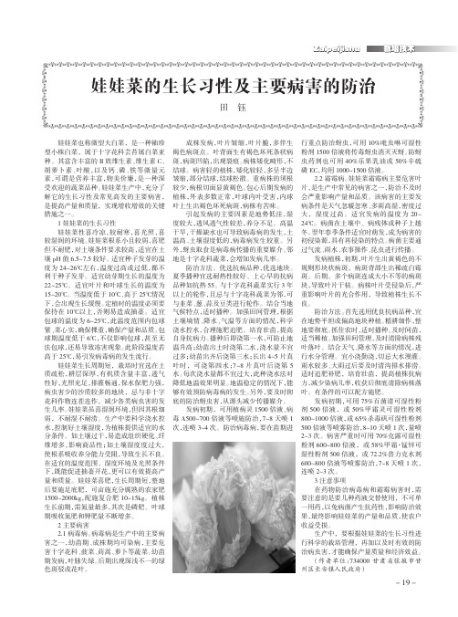 娃娃菜的生长习性及主要病害的防治
