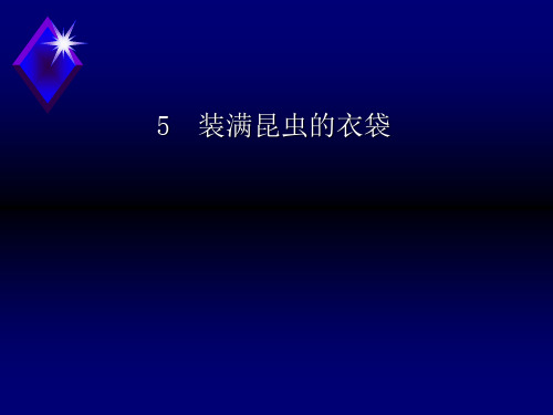 五年级上册语文课件5 装满昆虫的衣袋｜苏教版 (共32张PPT)