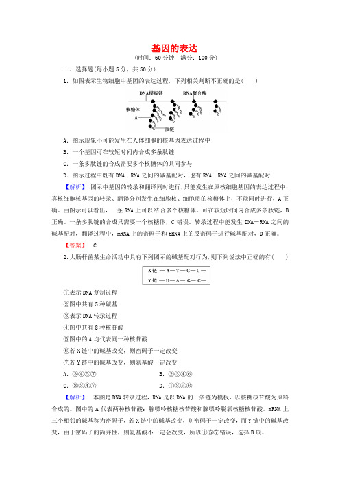 2019届高考生物总复习：基因的表达试题(含解析)