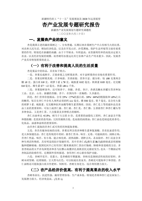 新疆杏产业分析