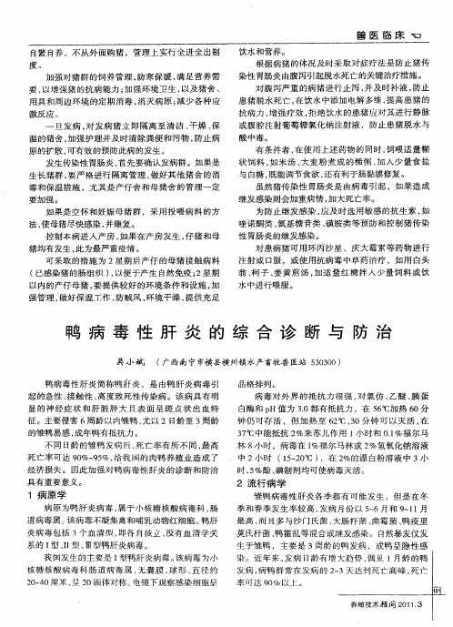 鸭病毒性肝炎的综合诊断与防治