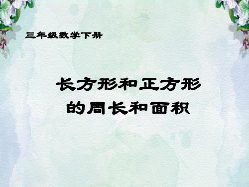 长方形和正方形的面积和周长的关系.ppt