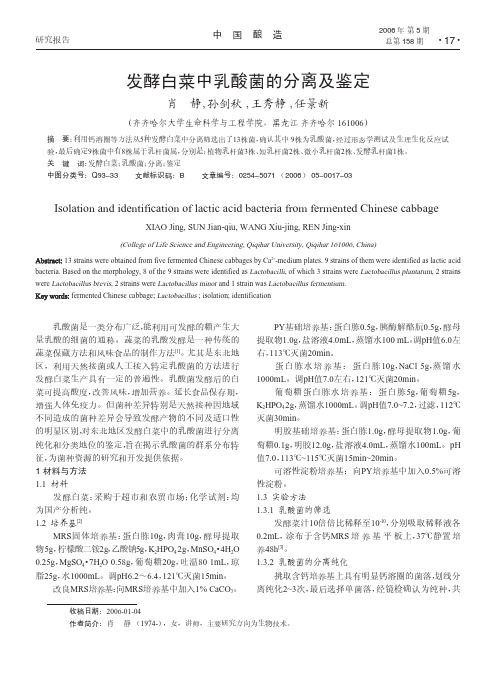 发酵白菜中乳酸菌的分离及鉴定
