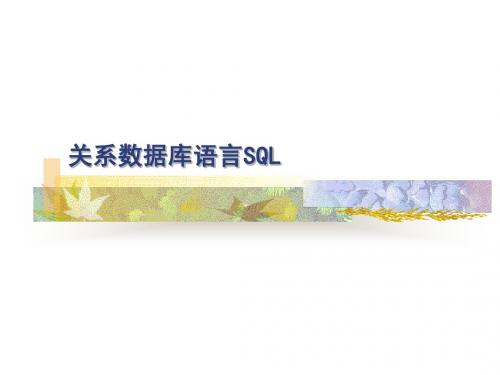 关系数据库语言SQL