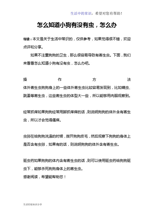 怎么知道小狗有没有虫,怎么办