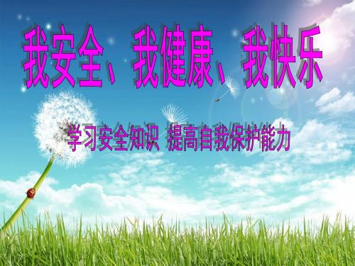 中学班主任主题班会精品课件：安全教育班会(共76张PPT)