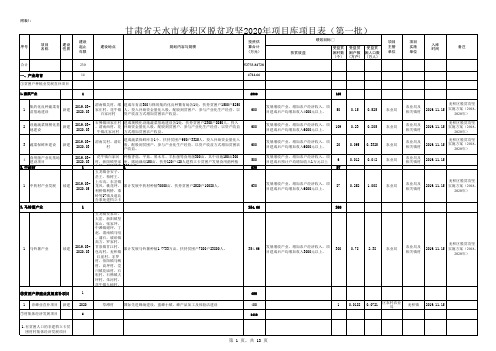 2020年项目库表