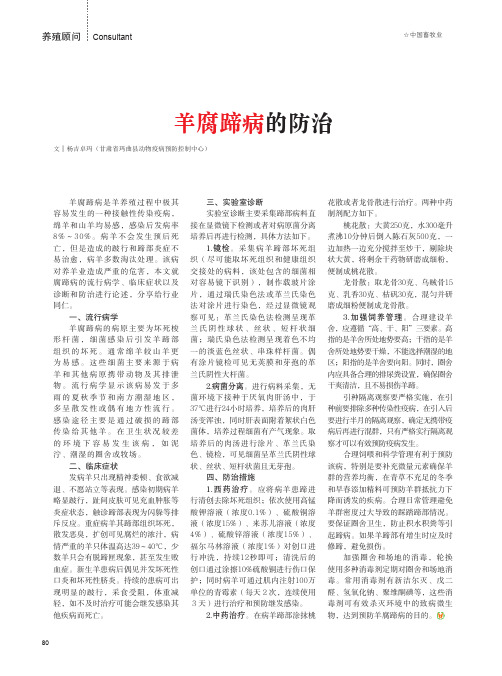 羊腐蹄病的防治