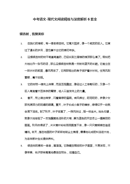 (全)2021中考语文-现代文阅读精练与深度解析6套全